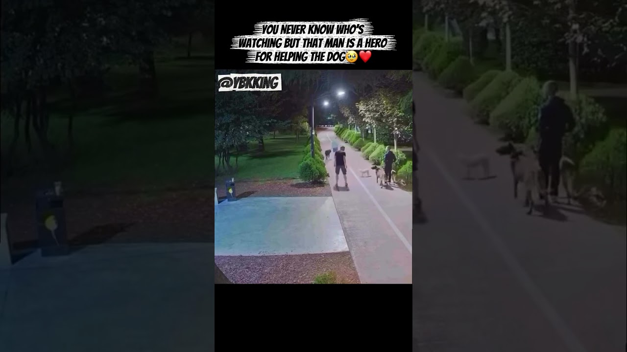 You Never Know Who’s Watching But That Man Is A Hero For Helping The Dog🥹❤️#shorts #dog #people - Published by YBKKingShorts