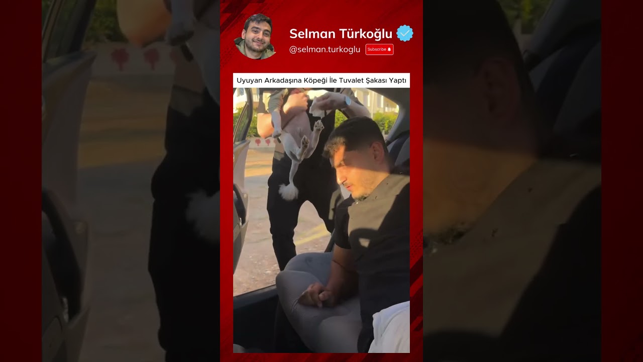 Uyuyan Arkadaşına Köpeği İle Tuvalet Şakası Yaptı 😄