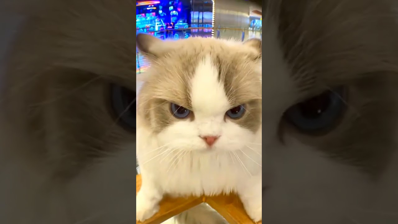 Barco preso debaixo da ponte! 😳