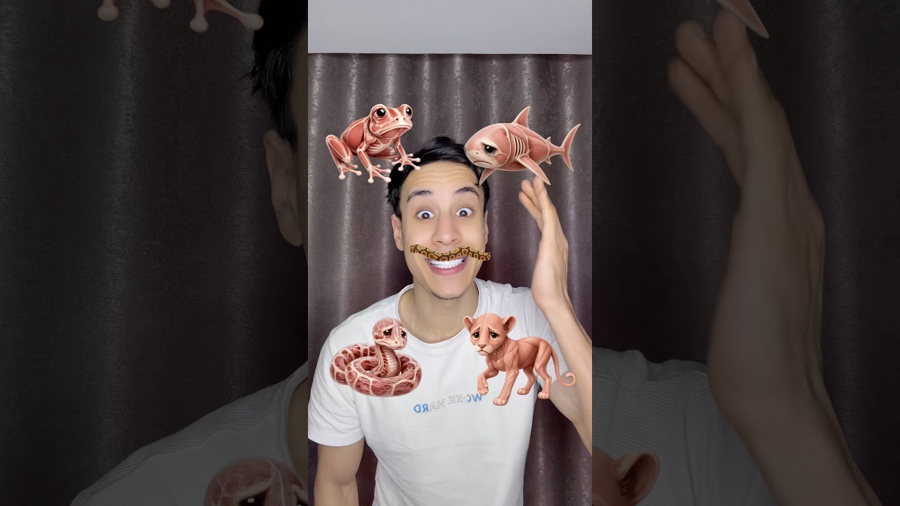 حيوانات بدون ملابس ؟ ٢ 😂