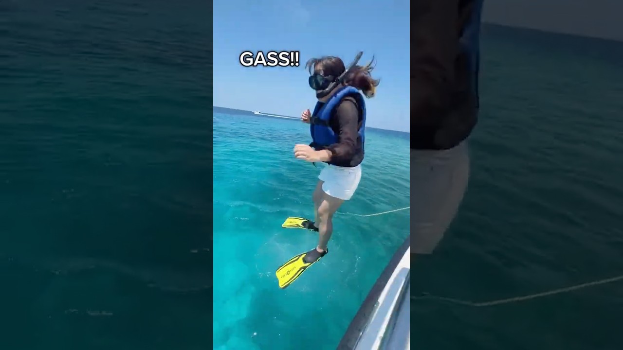 SERUUUUU BERENANG SAMA HIU😎🦈🦈 #shorts #itsmeissie