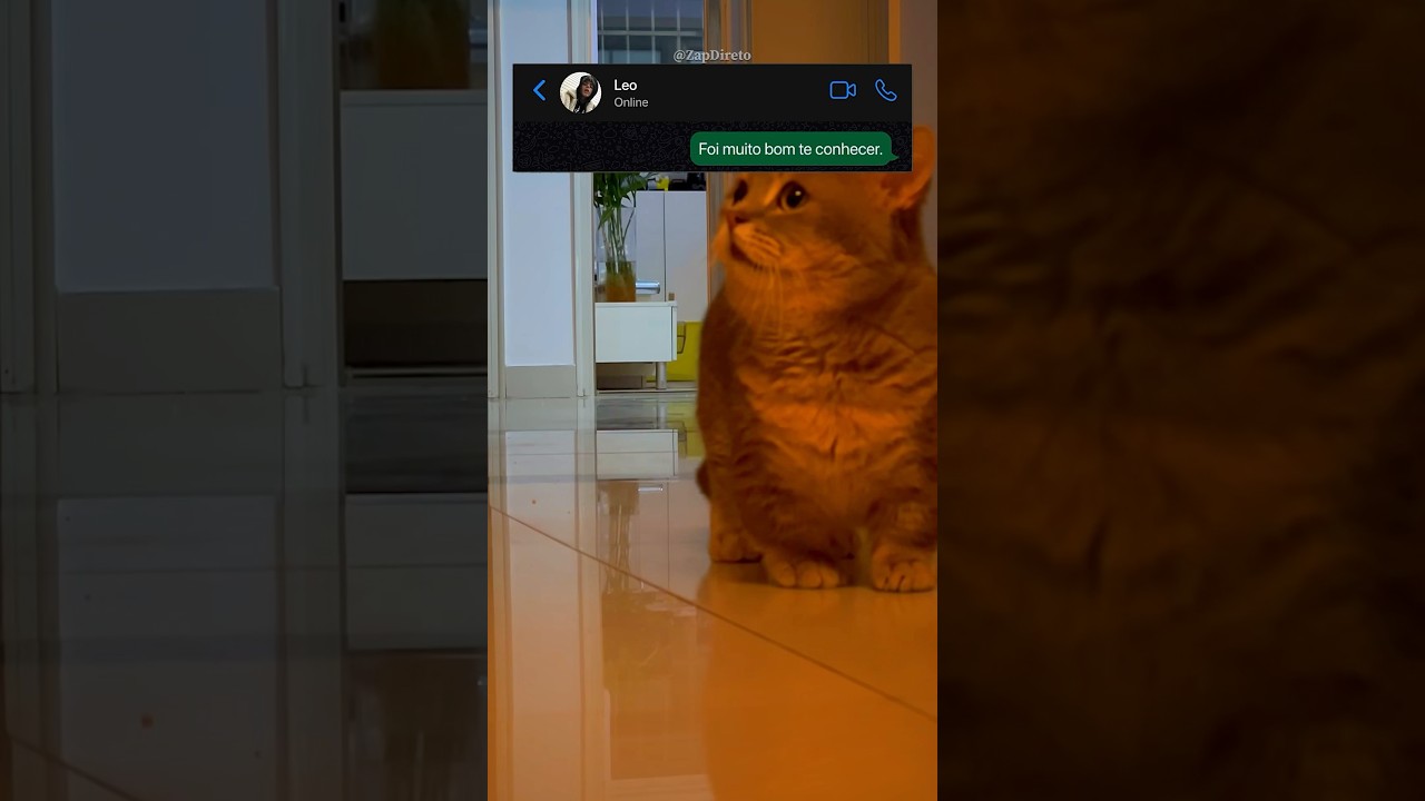 Adeus, PS5... 💀 #shorts