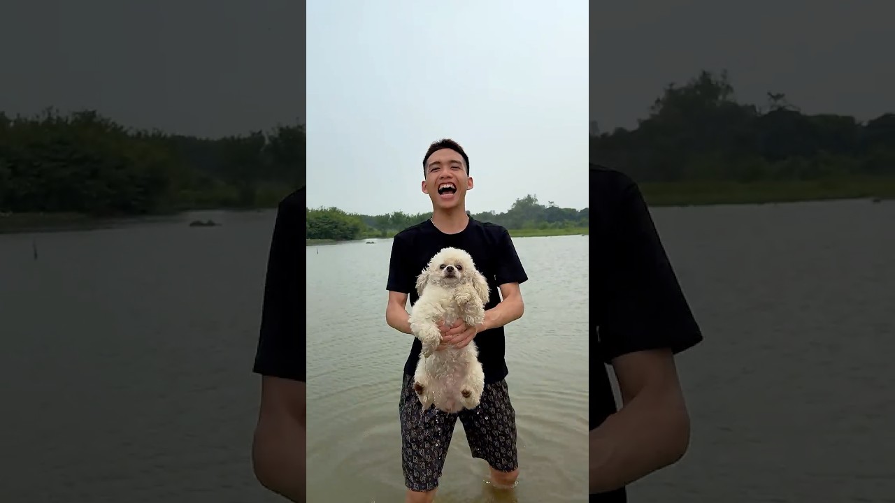 From Filthy To Fresh… This Dog Shocked Everyone 🐶