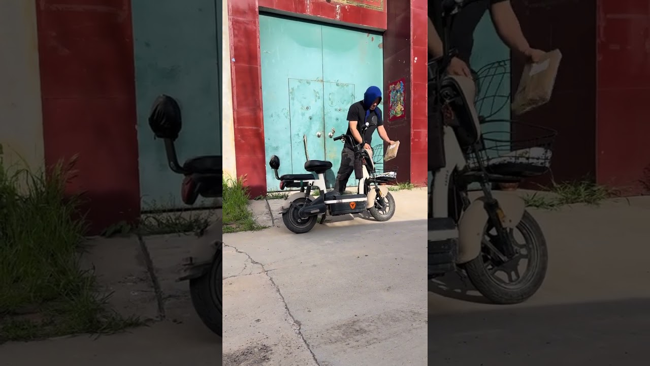 A golden retriever that doesn t hold grudges #panda #amnewbutnottheleast #pets