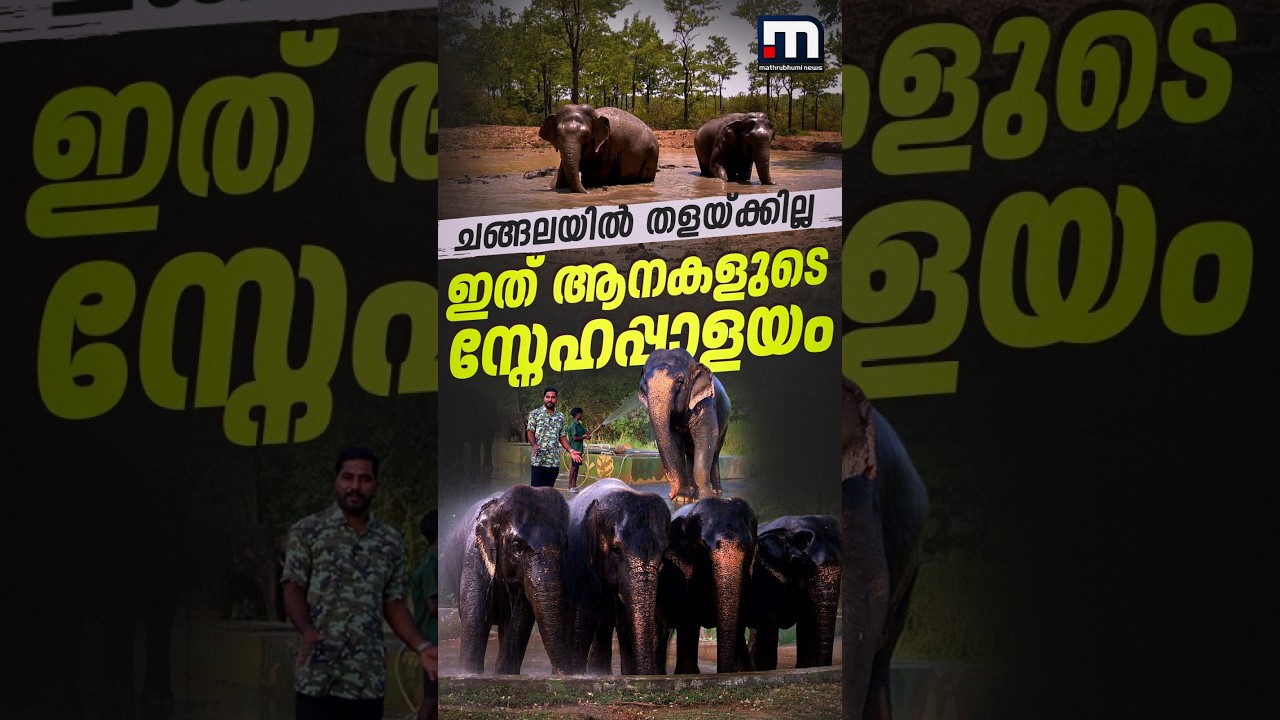 ഇത് ആനകളുടെ സ്നേഹപ്പാളയം... | Elephant Rescue and Rehabilitation Centre | Trichy | M R Palayam