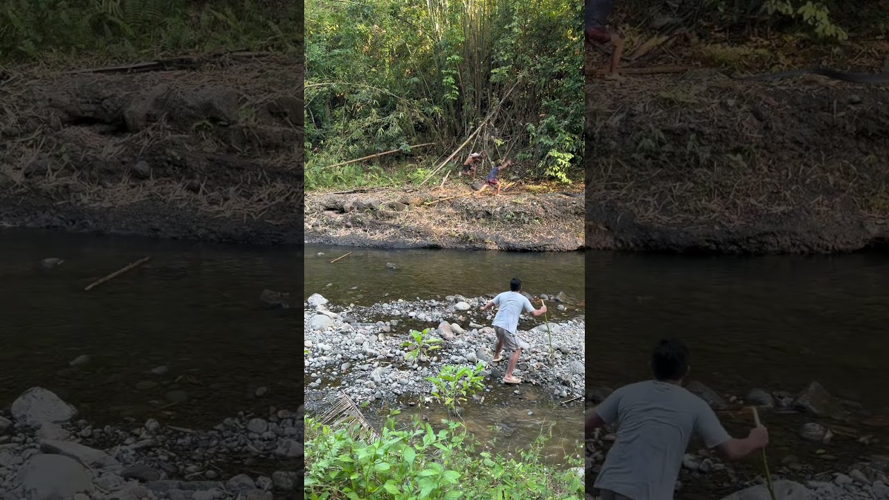 Mantas kaayu ne sukol