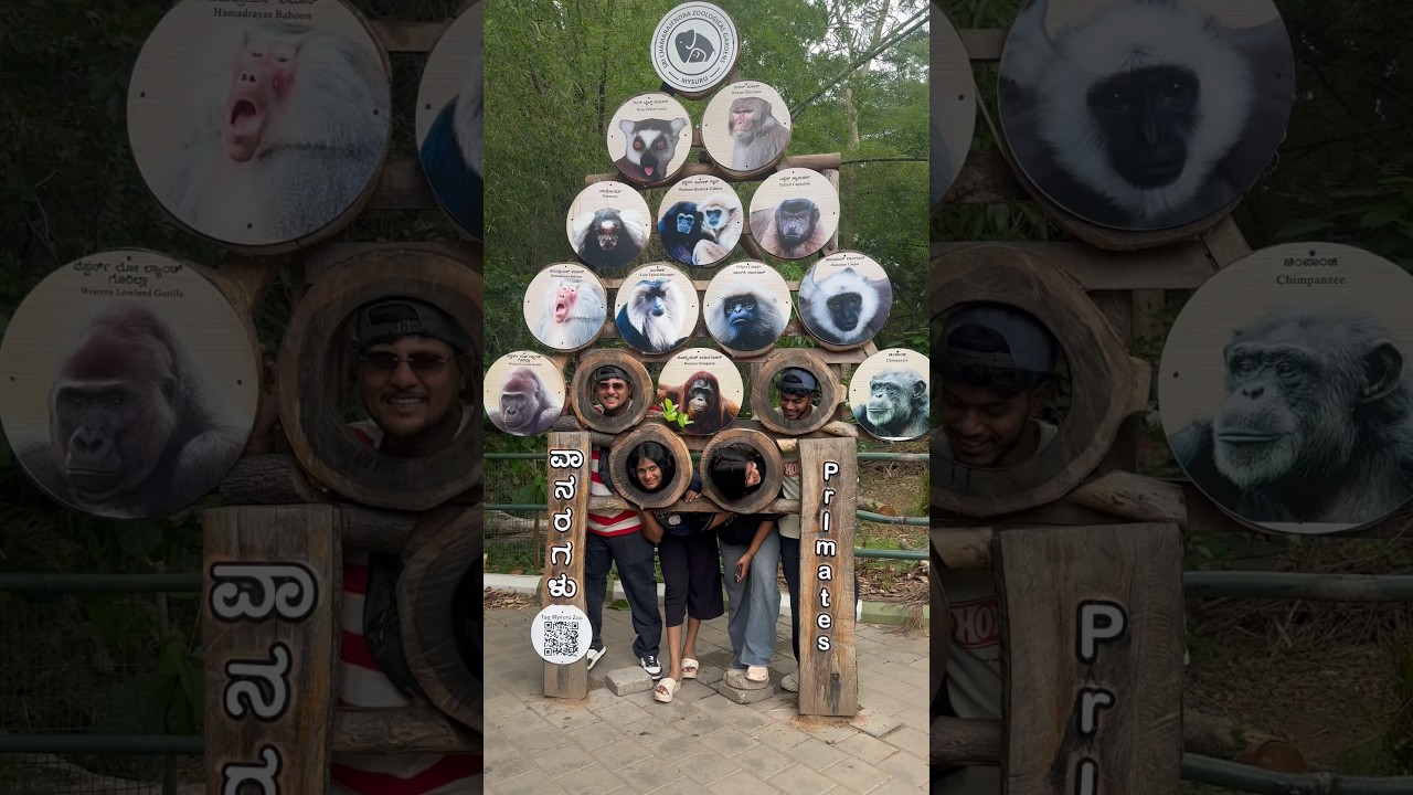 Mysore zoo 🐒 | Minivlog 624 | #mhamaldas #mysore #trending #15svines #zoo #family #trip