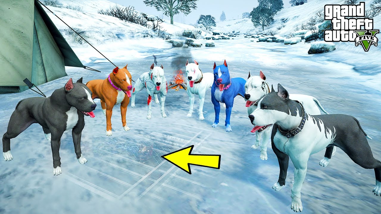 PİTBULL AİLESİ KORKUNÇ PİTBULL KARABELA'YI BUZUN ALTINA GÖMÜYOR! - GTA 5