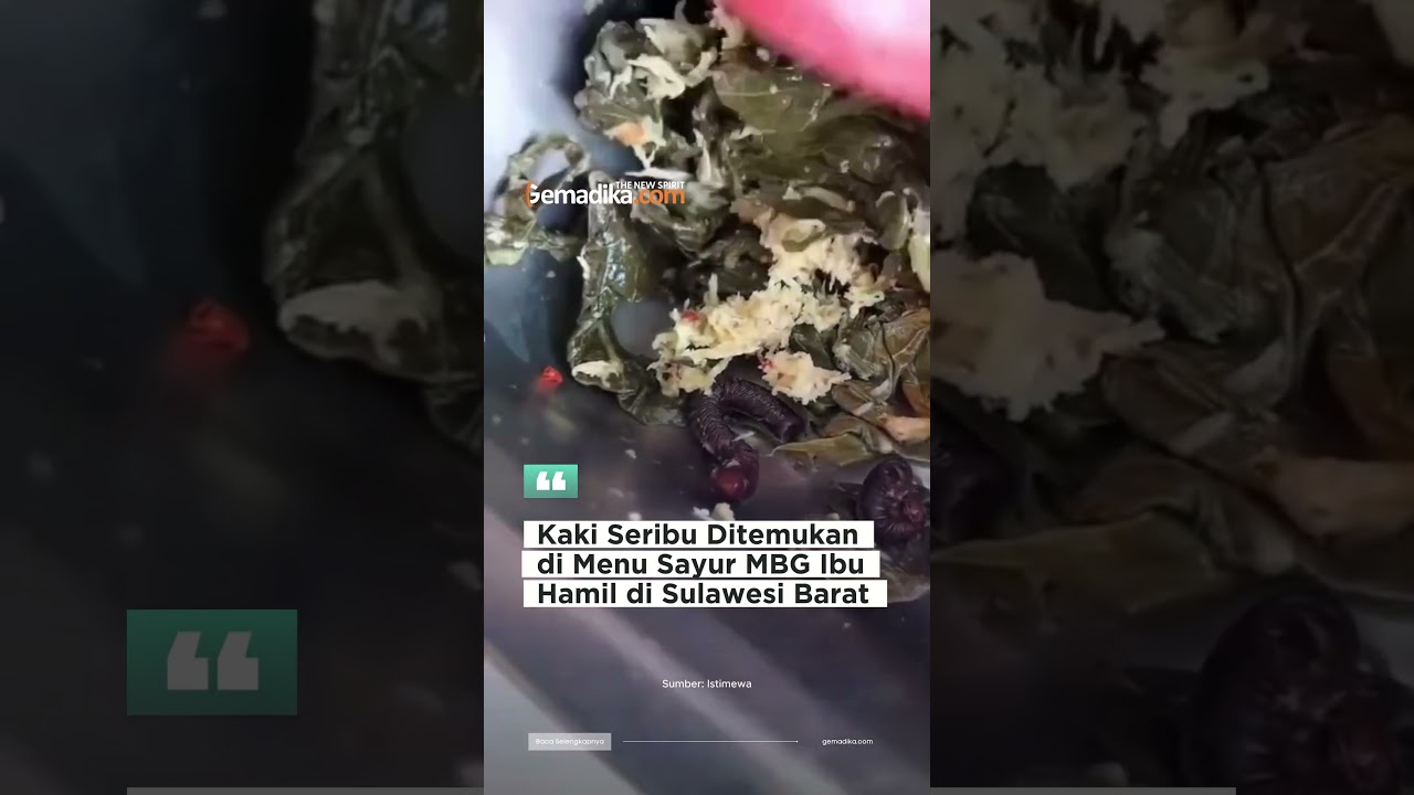 Geger Kaki Seribu di Menu Makan Bergizi Gratis Pasangkayu, Operasional Dapur Disetop Sementara
