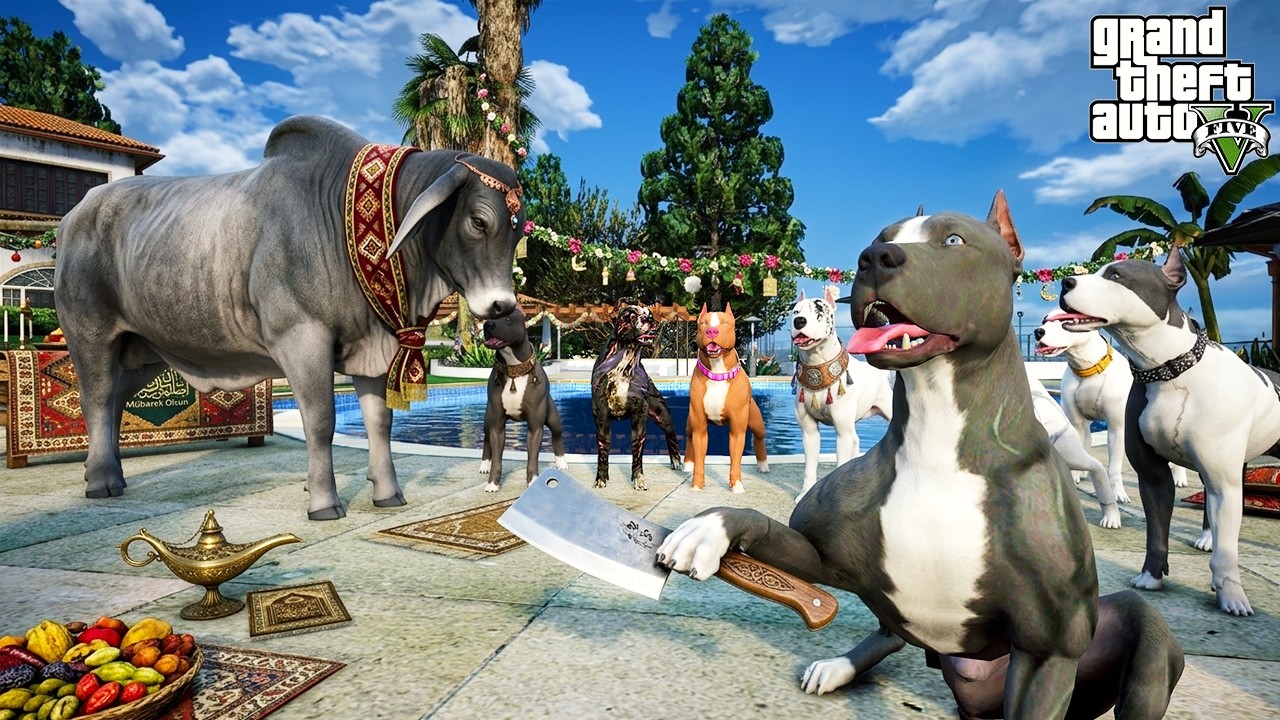 PİTBULL AİLESİ 1 TONLUK DEVASA KURBANLIK KESİYOR! - GTA 5