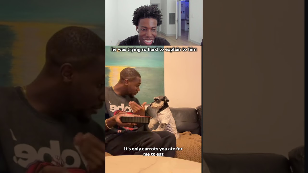 he said calm down let me explain