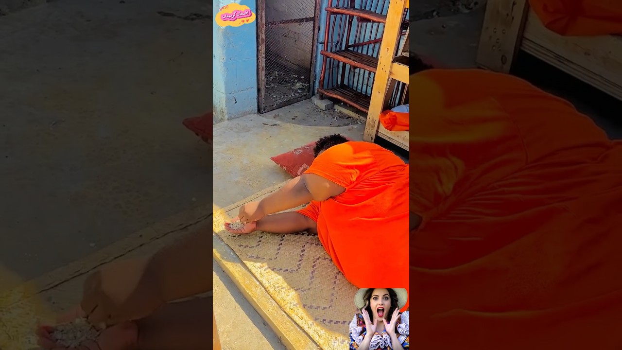 نصب فخ للدجاج😂#اكسبلور #funny #كوميديات #comedy