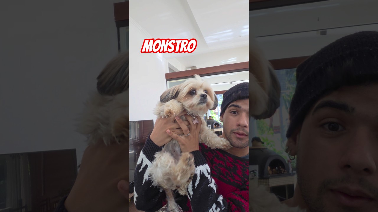 A origem DO MOSTRO DESTRUIDOR DE SONOS 🐶 #shorts