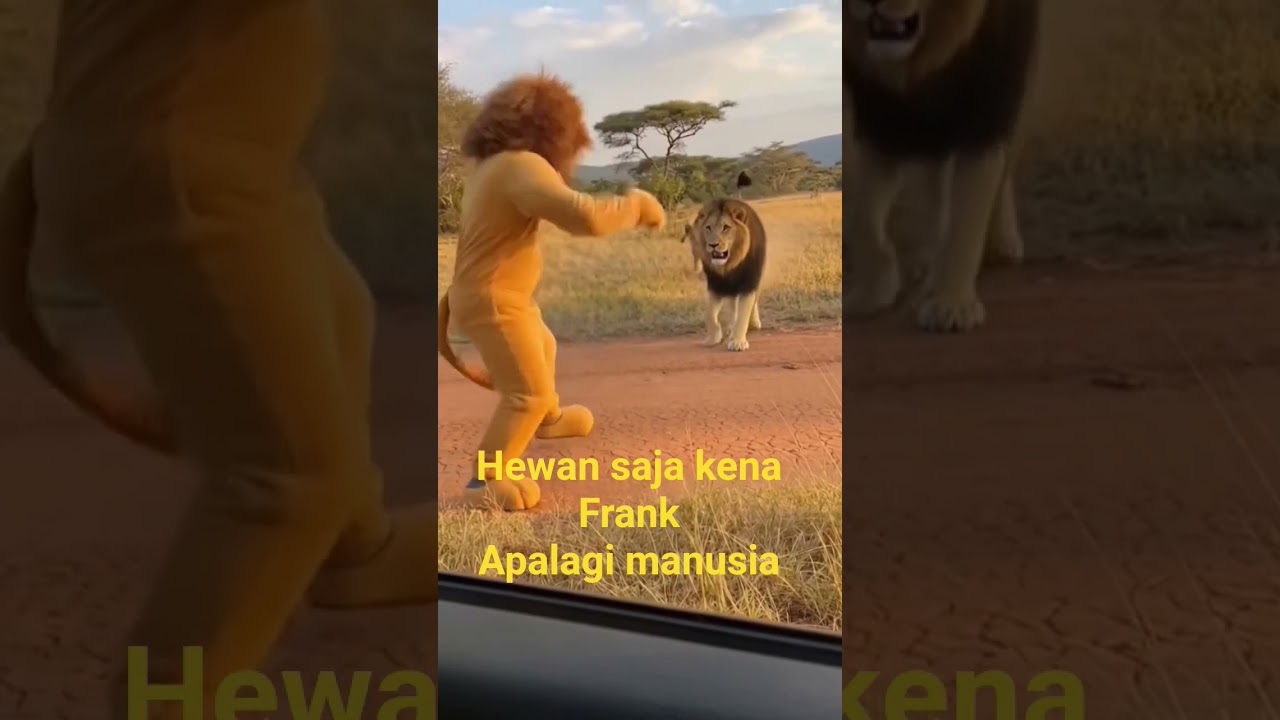 Hewan saja kena prank.apalagi manusia