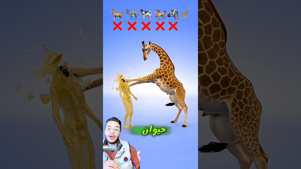 ايه هو الحييوان 😳