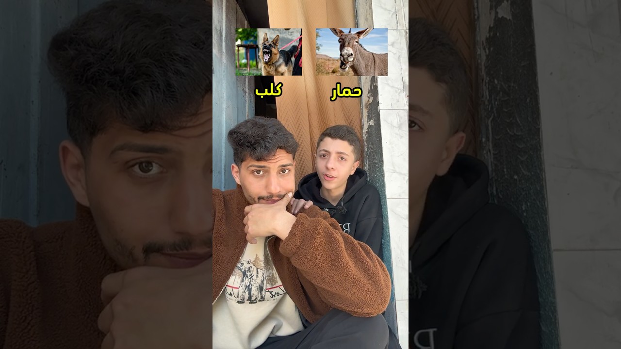 تحدي الحيوانات مع حسام 😂