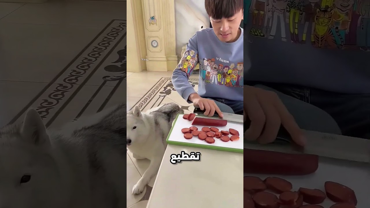 كلب ذكي جدا فضل مخبي السجق لحد ما اكله #viral