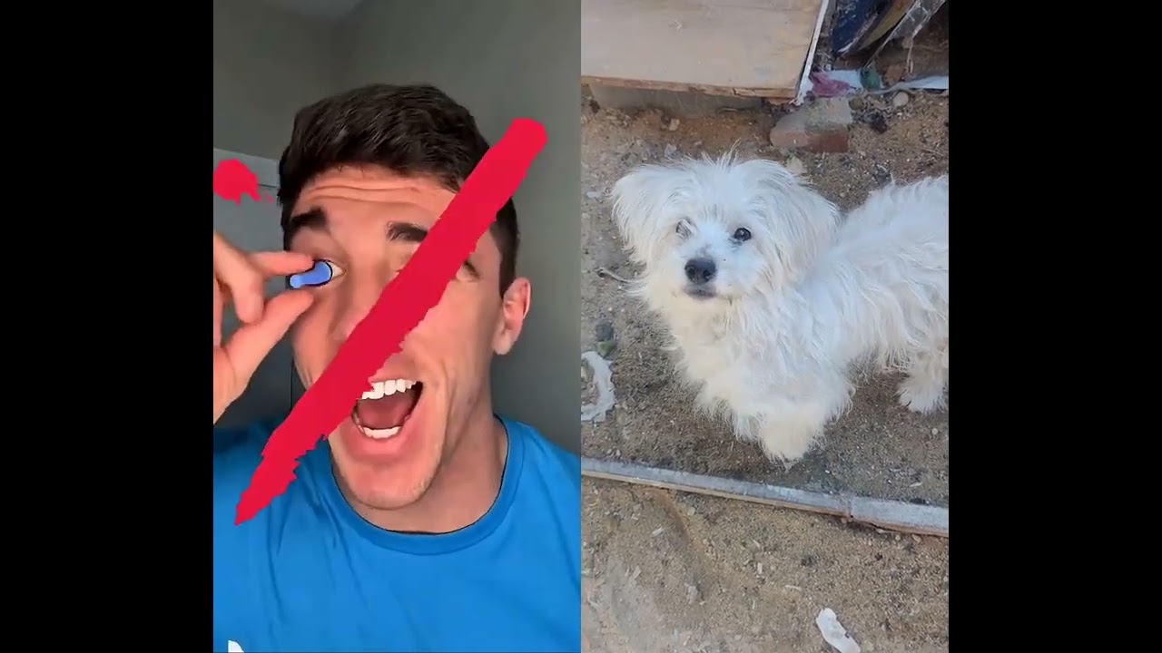 اختار حارس شخصي لك يحميك من كل حاجه #shorts