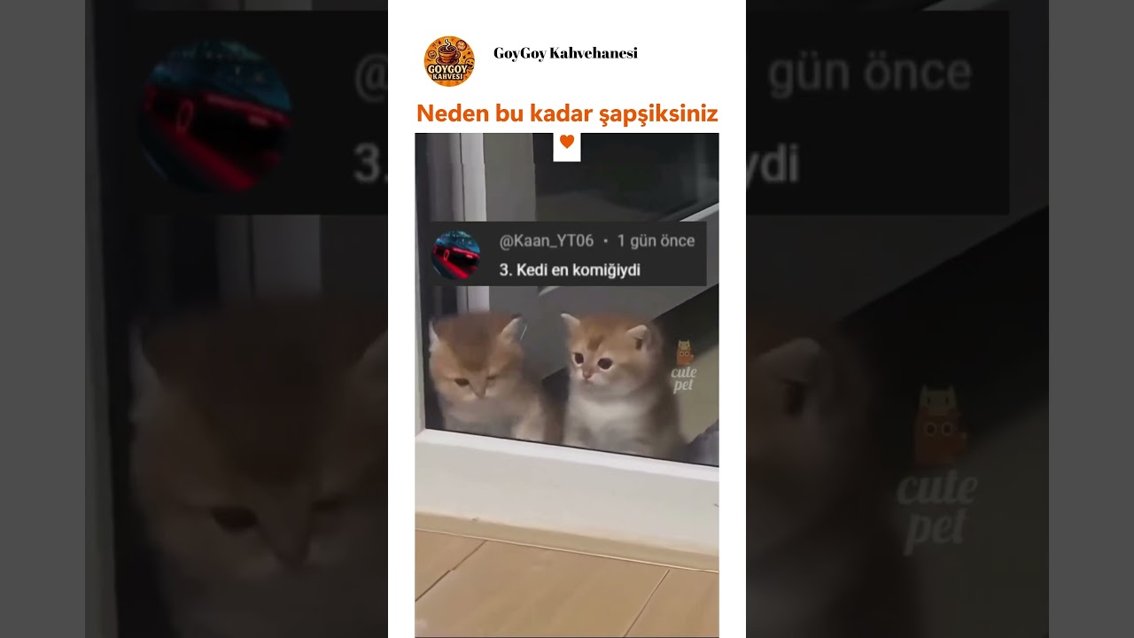 Patisini ısırdığı yerde koptum 😻