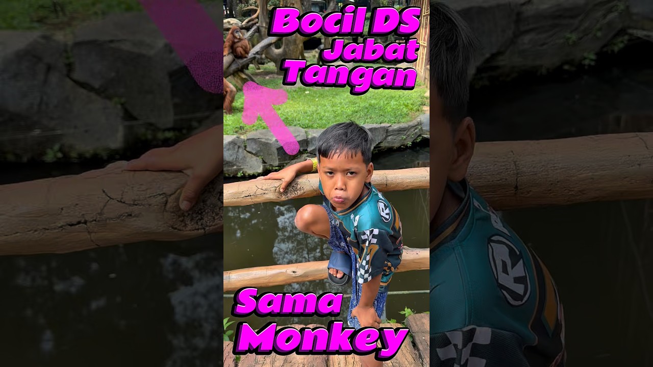 Bocil DS jabat Tangan sama Monkey #comedy #minivlog #anakdesa #monkey #bogor