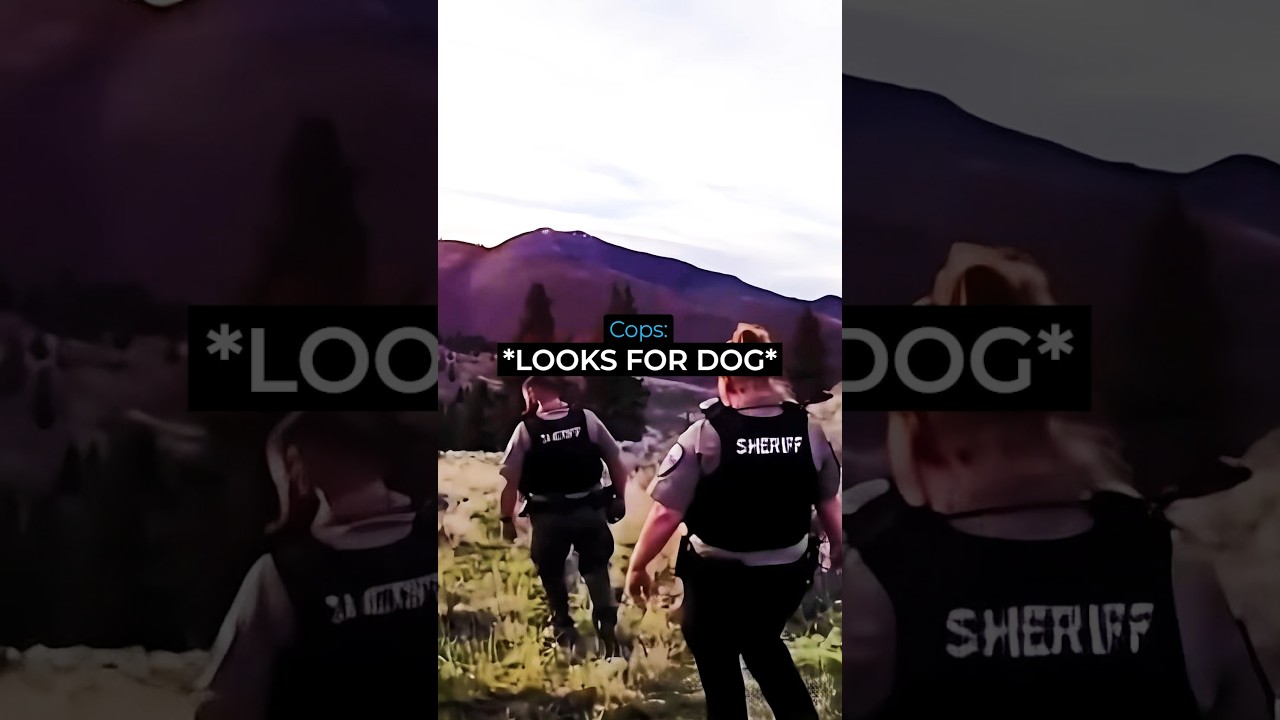 Man Spares The Dog But Not The Owner #police #cops #bodycam