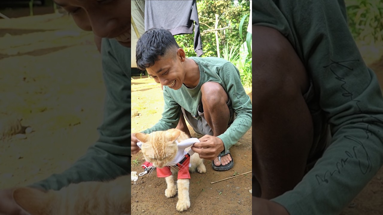 kucing pake baju SD 🔥‼️