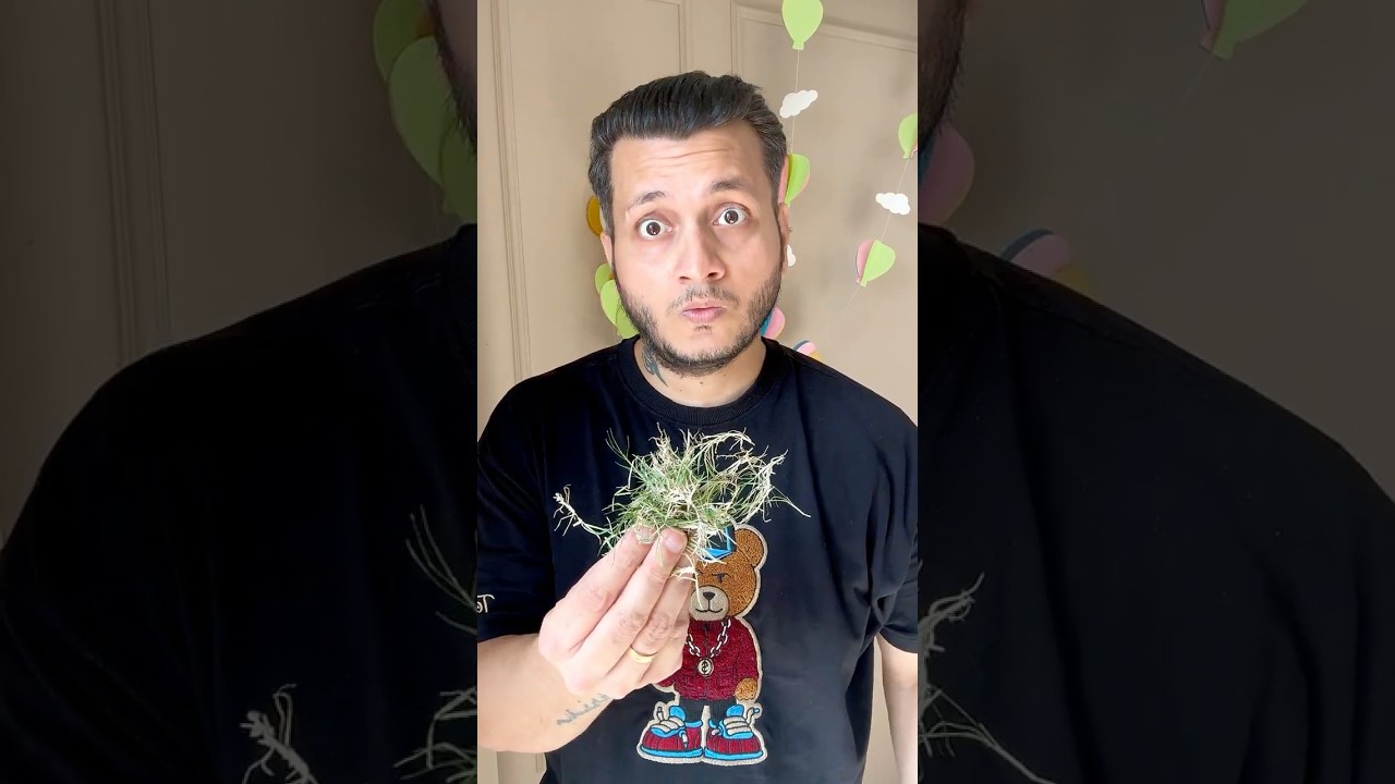 GRASS BALL 🌱🌿⚾ #shorts #youtubeshorts #cricket #unboxing #ball #funny