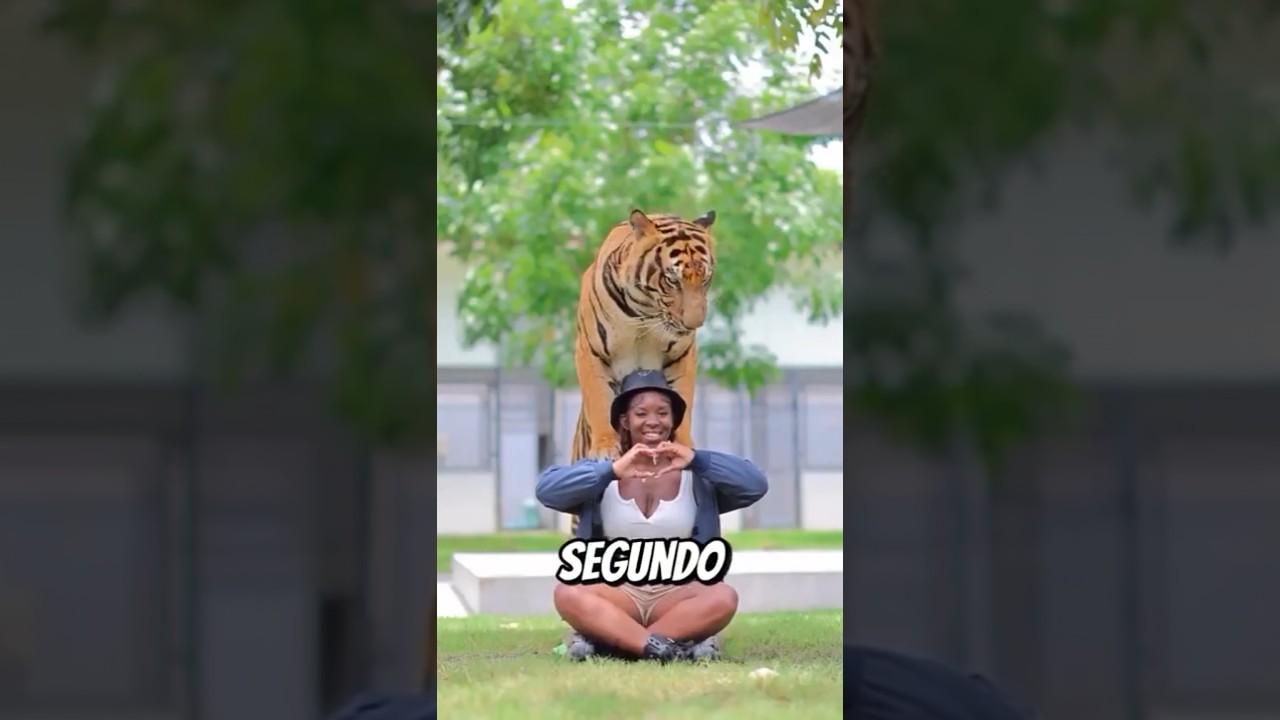 Coragem ou loucura?        #animais #curiosidades #viralshorts #amazing #natureza