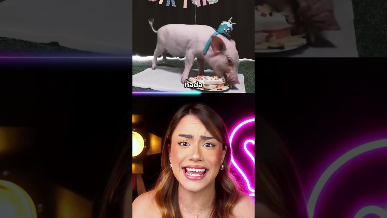 youtubers que enganaram a internet TODA