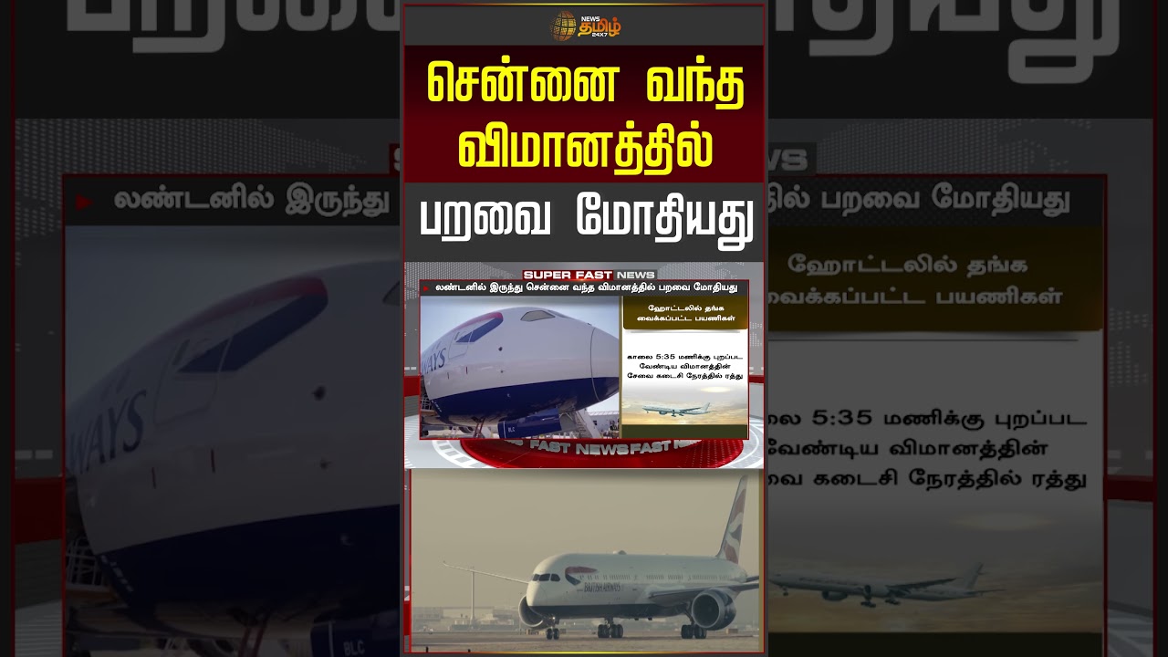 சென்னை வந்த விமானத்தில் பறவை மோதியது.. | Flight Incident