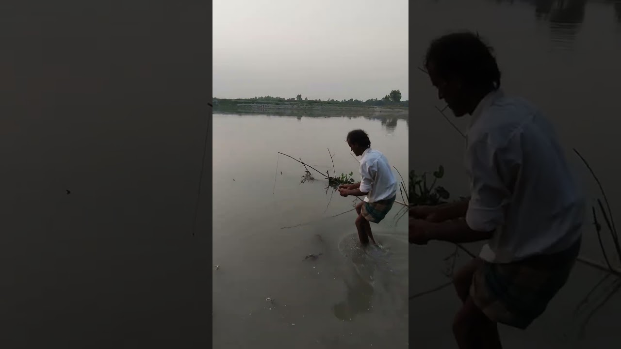 এই ভাবে বোয়ালমাছ  ধরা কি ঠিক?😔🐟🎣