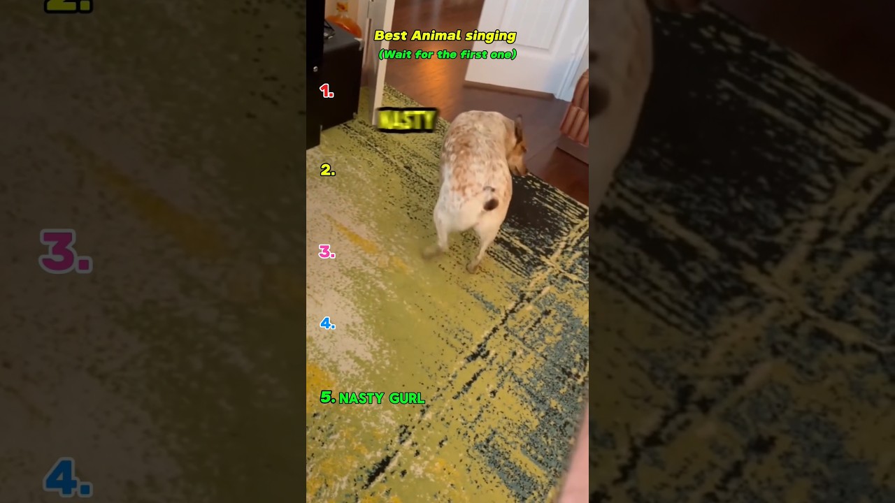 Singing animals #tiktok #catfish #gaslighting