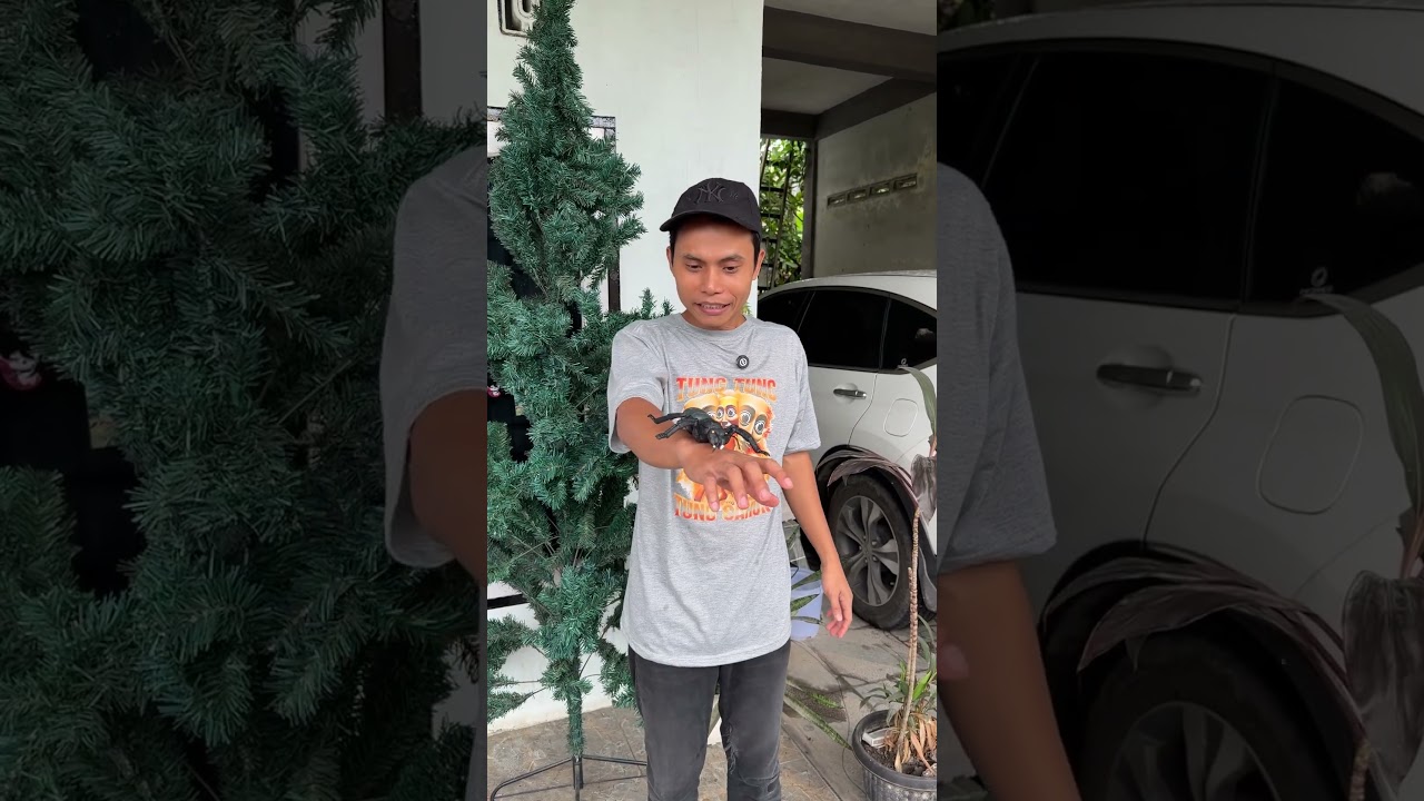 adik demam mau di suntik bapak