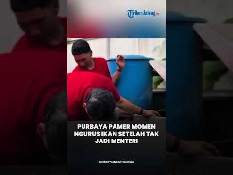Purbaya Pamer Momen Ngurus Ikan Setelah Tak Jadi Menteri
