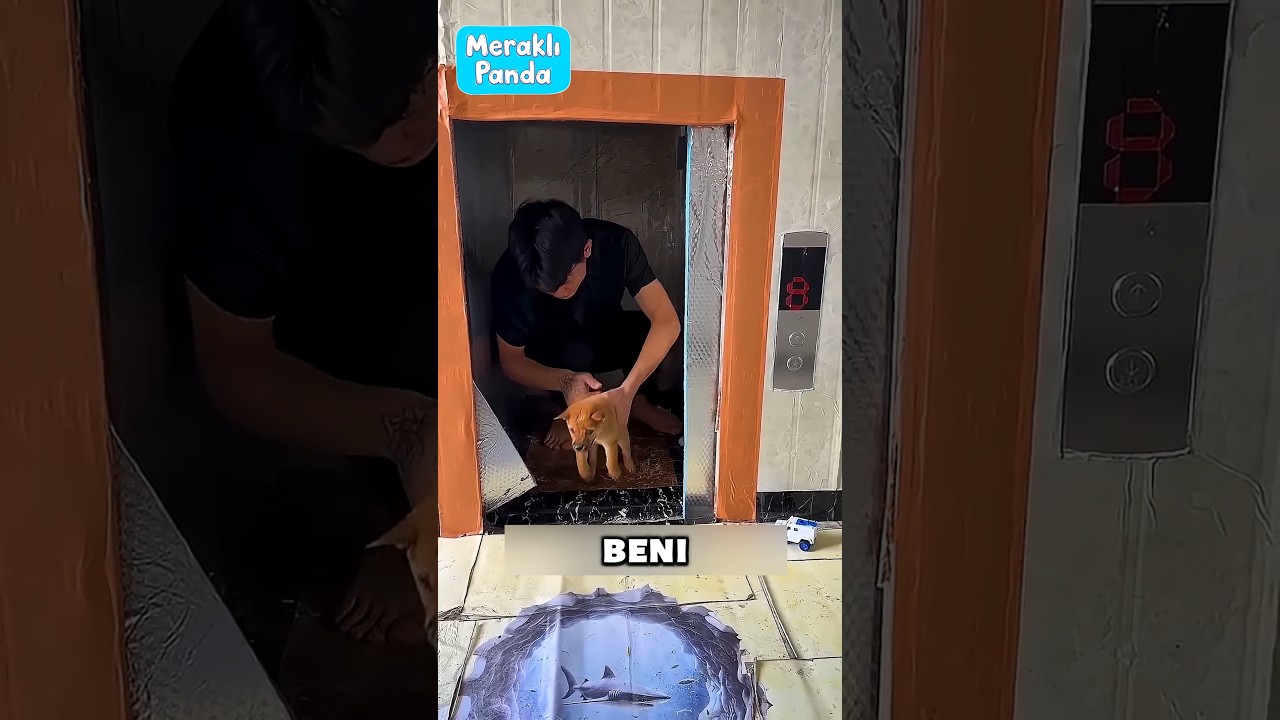 Boncuğu çöpe atmamak için abone olun🐕‍🦺🐕