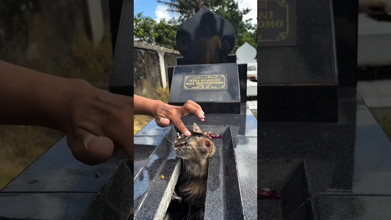 Pria Ini Bukan Bawa Bunga Saat Ziarah Lebaran ⁉️