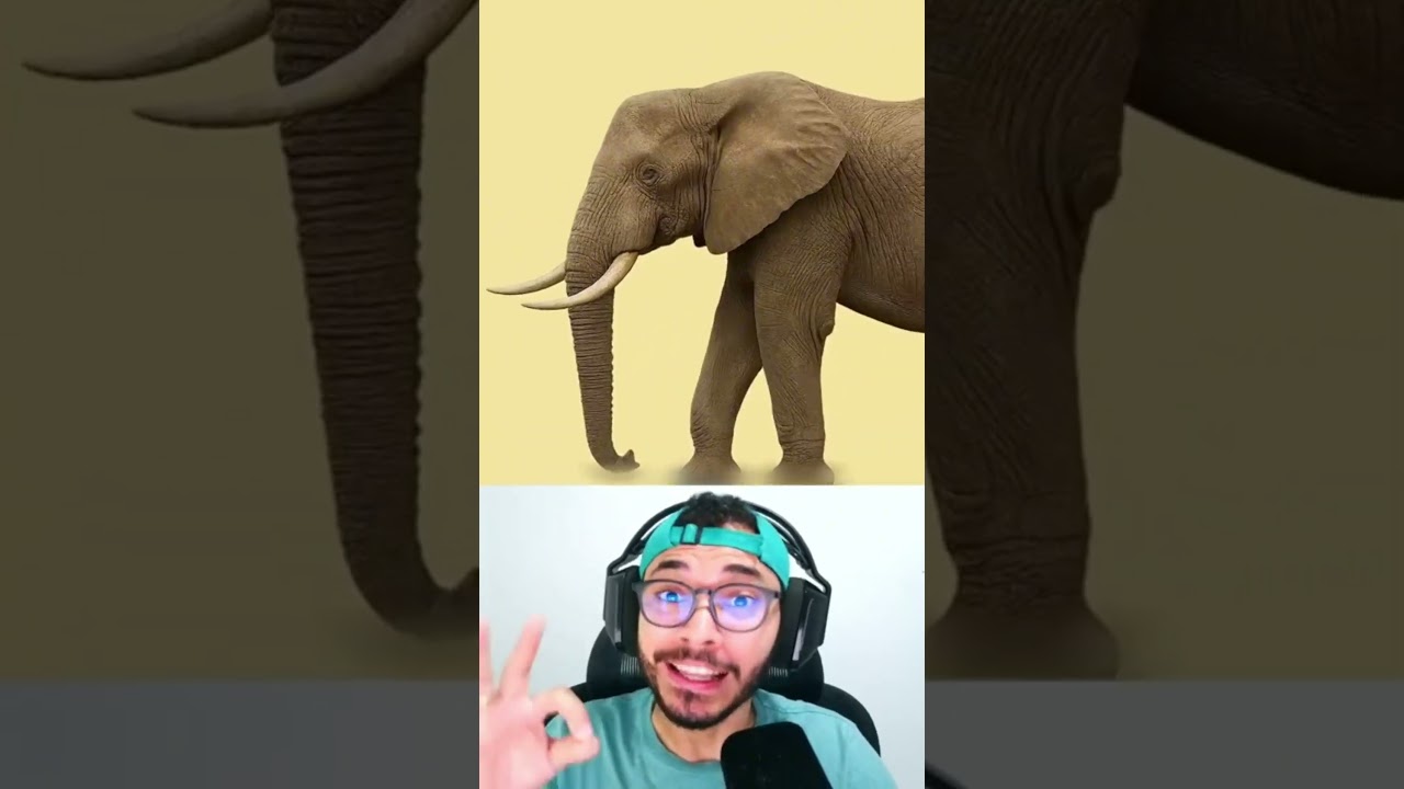 O elefante treinado #shorts