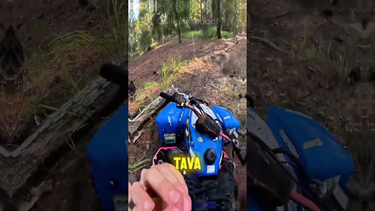 Motociclista Encontrou Uma Garota Perdida No Meio Da Floresta.