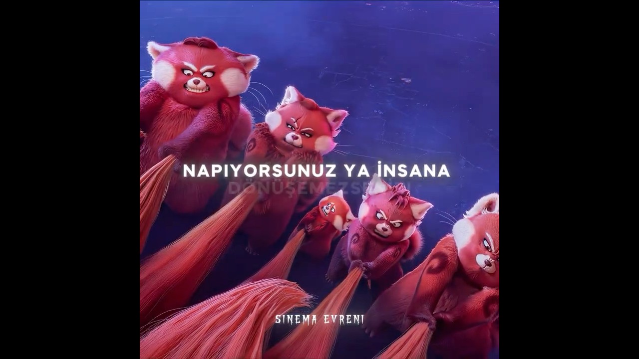 Kırmızı Panda'nın En Duygusal Sahnesi