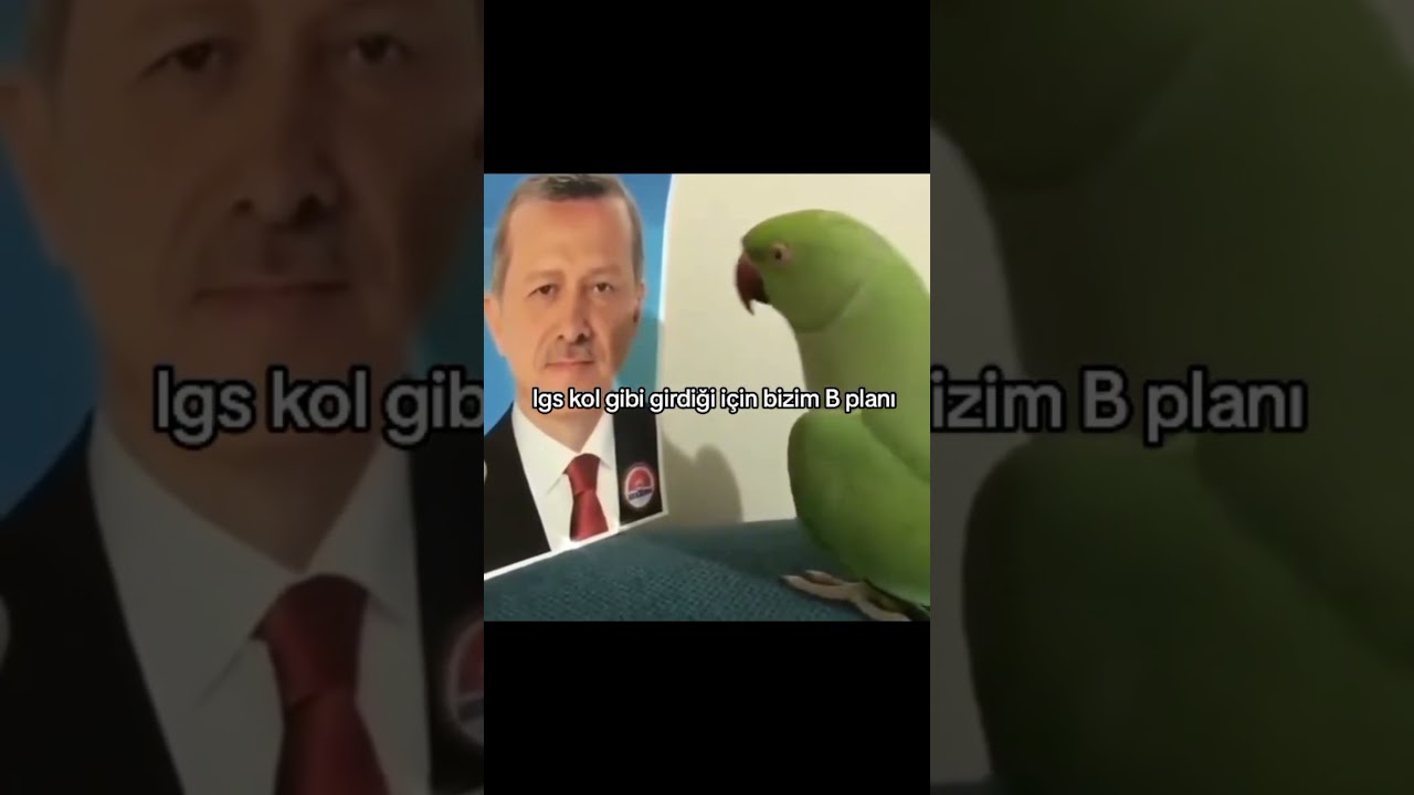 bakın bakın ne diyorum shsjsjsjsjsjsj beğenmeyi unutmayın arklar🙏 #lgs #okul