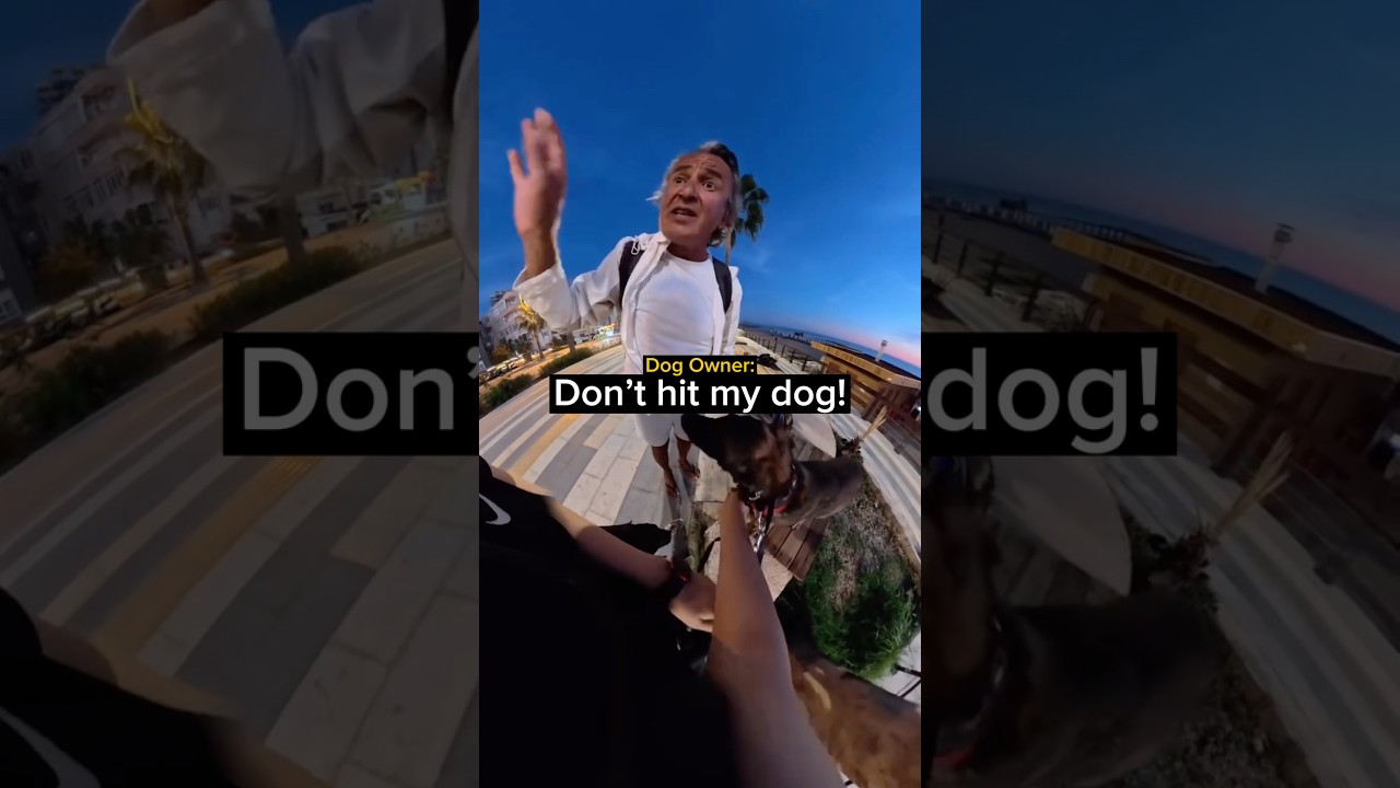 When a Dog Walk Takes an Unexpected Turn…