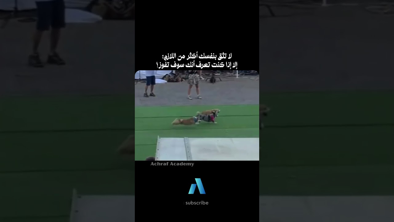 يجب عليك مشاهدة هذا الفيديو | لا تثق بنفسك أكثر من اللازم؛إلا إذا كنت تعرف أنك سوف تفوز!