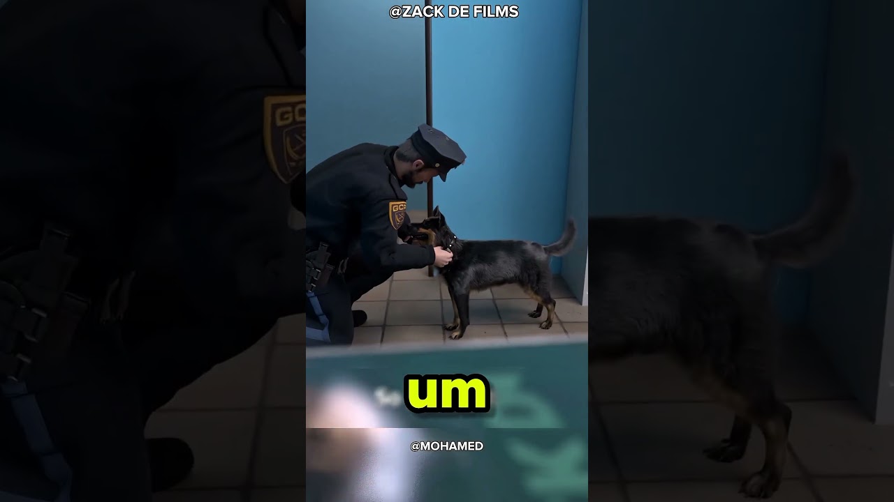 O cachorro que resolveu um caso misterioso #curiosidades #bizarro #shorts