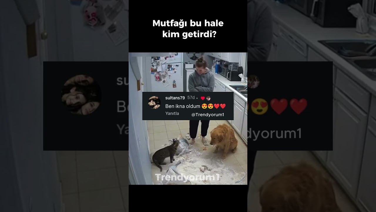 Acaba suçlu kim? 😂