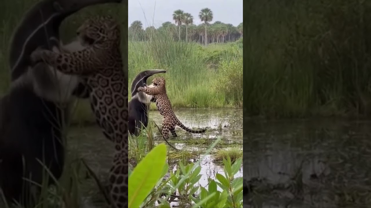isso não vai dar certo