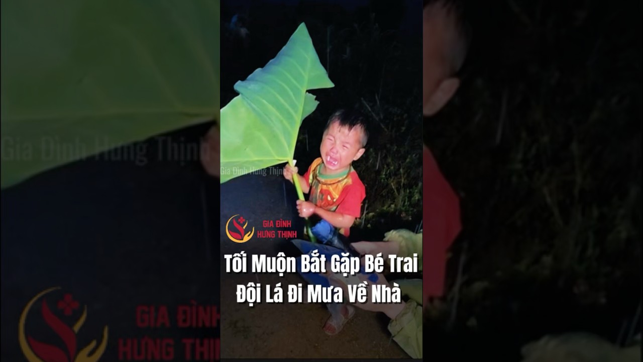 Tối Muộn, Bắt Gặp Cậu Bé Đội Lá Che Mưa Vừa Đi Vừa Khóc Trên Đường Về Nhà   #giadinhhungthinh
