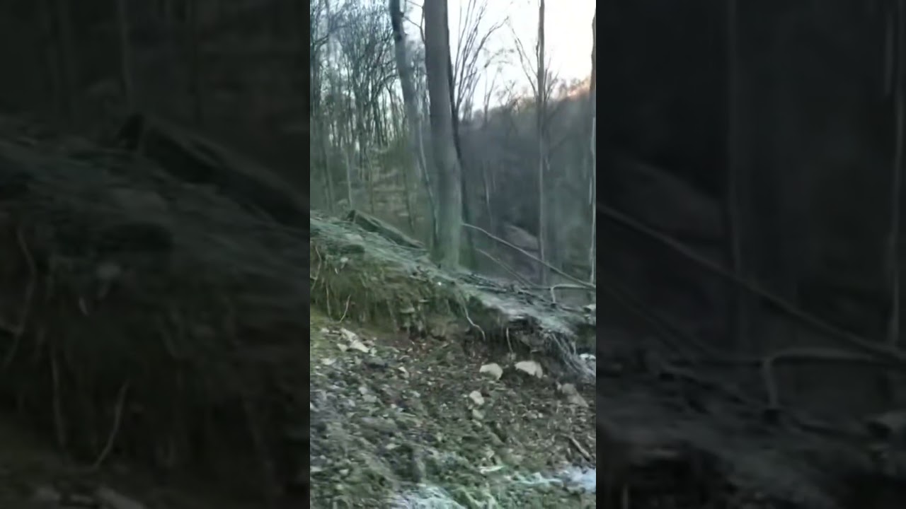 Getting lowered in X-ray rig. #pipeline