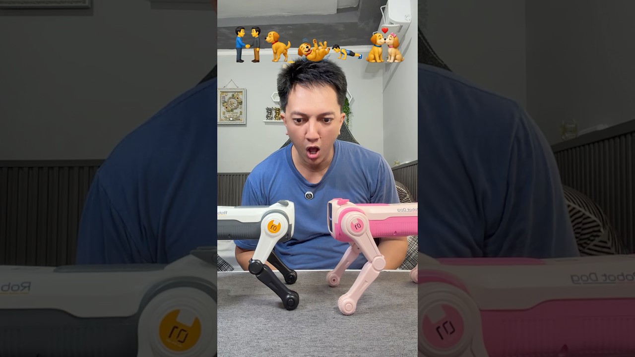 Perintah Robot Anjing Sesuai Emoji