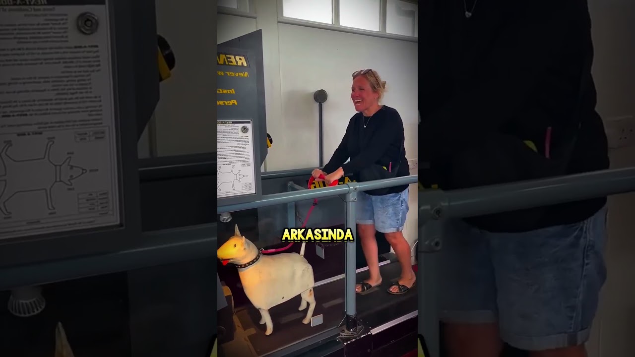 Robot KÖPKE 🤖🐶