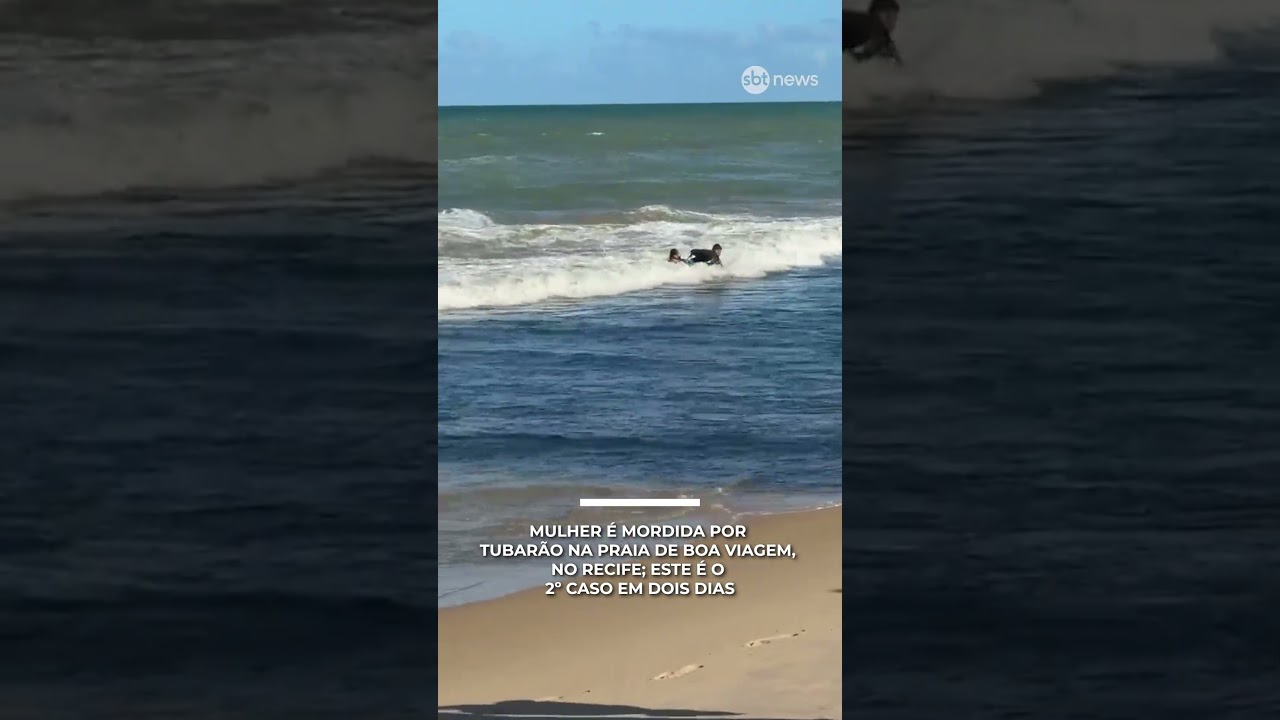 Mulher é mordida por tubarão na praia de Boa Viagem, no Recife; este é o 2º caso em dois dias
